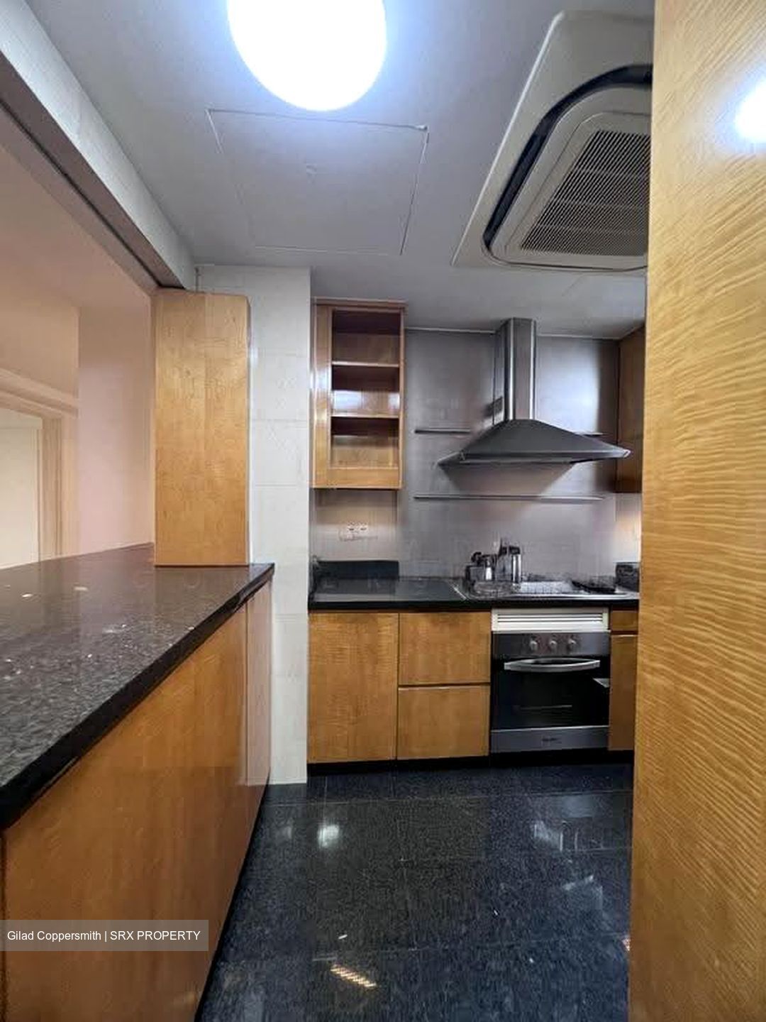 Grange 70 (D10), Apartment #607472241